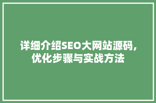 详细介绍SEO大网站源码,优化步骤与实战方法