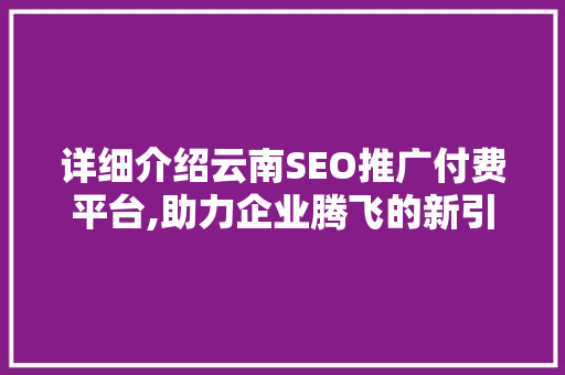 详细介绍云南SEO推广付费平台,助力企业腾飞的新引擎