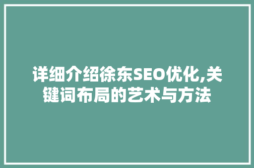 详细介绍徐东SEO优化,关键词布局的艺术与方法
