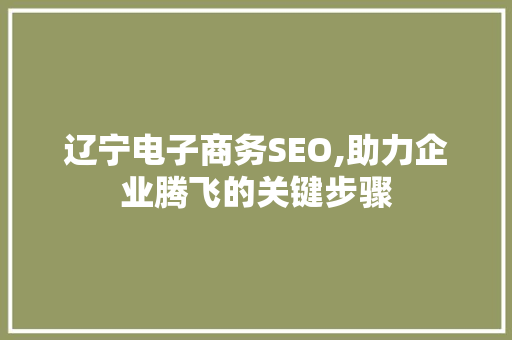 辽宁电子商务SEO,助力企业腾飞的关键步骤