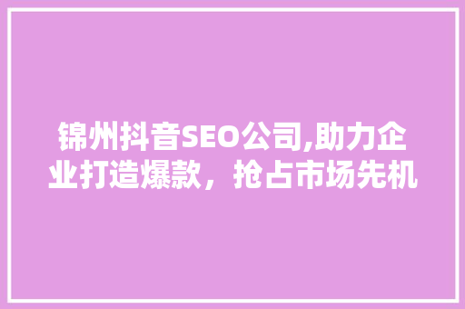 锦州抖音SEO公司,助力企业打造爆款，抢占市场先机