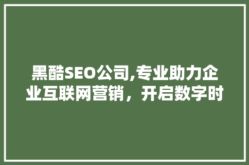 黑酷SEO公司,专业助力企业互联网营销，开启数字时代新篇章