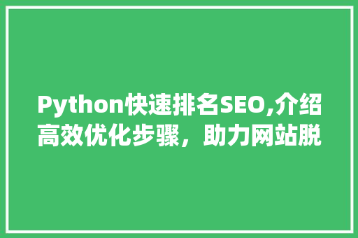 Python快速排名SEO,介绍高效优化步骤，助力网站脱颖而出
