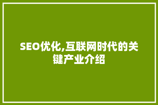 SEO优化,互联网时代的关键产业介绍