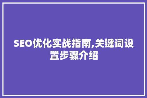 SEO优化实战指南,关键词设置步骤介绍  第1张