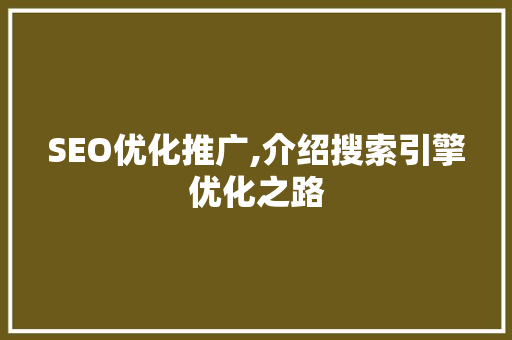 SEO优化推广,介绍搜索引擎优化之路