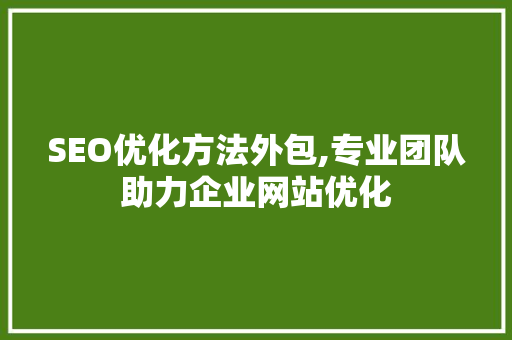 SEO优化方法外包,专业团队助力企业网站优化  第1张