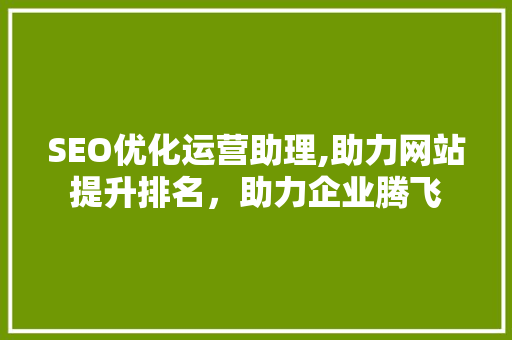 SEO优化运营助理,助力网站提升排名，助力企业腾飞