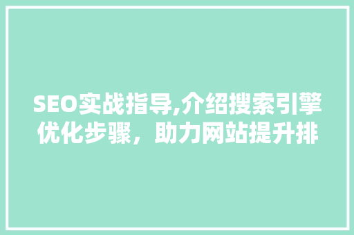 SEO实战指导,介绍搜索引擎优化步骤，助力网站提升排名  第1张