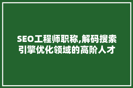 SEO工程师职称,解码搜索引擎优化领域的高阶人才