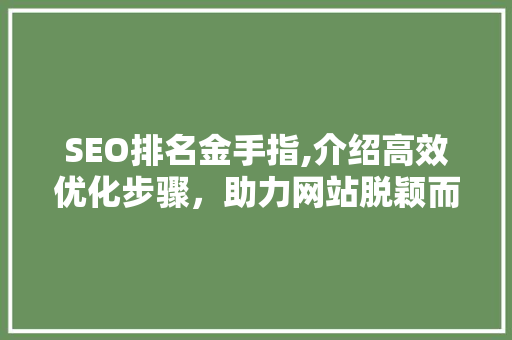 SEO排名金手指,介绍高效优化步骤，助力网站脱颖而出