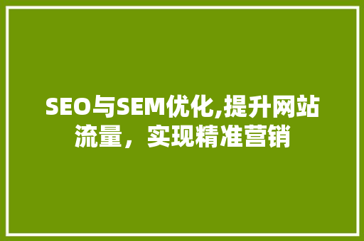 SEO与SEM优化,提升网站流量，实现精准营销