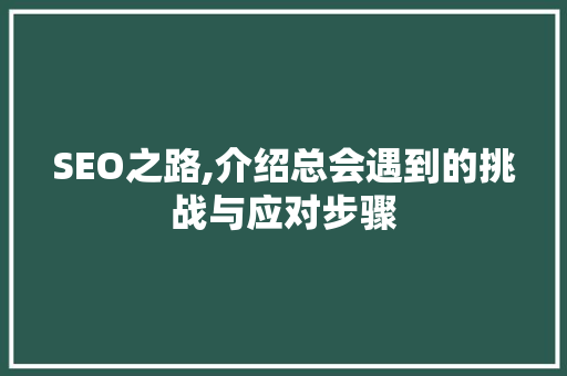 SEO之路,介绍总会遇到的挑战与应对步骤