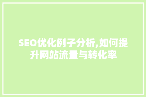 SEO优化例子分析,如何提升网站流量与转化率