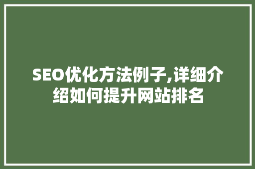 SEO优化方法例子,详细介绍如何提升网站排名