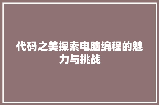 代码之美探索电脑编程的魅力与挑战
