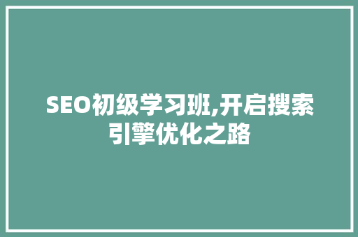 SEO初级学习班,开启搜索引擎优化之路