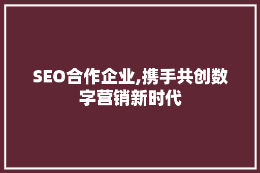 SEO合作企业,携手共创数字营销新时代