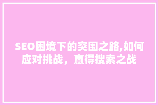 SEO困境下的突围之路,如何应对挑战，赢得搜索之战