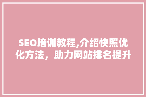 SEO培训教程,介绍快照优化方法，助力网站排名提升