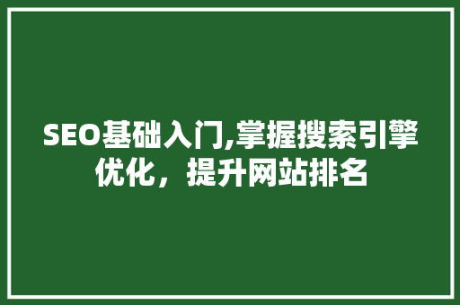 SEO基础入门,掌握搜索引擎优化，提升网站排名