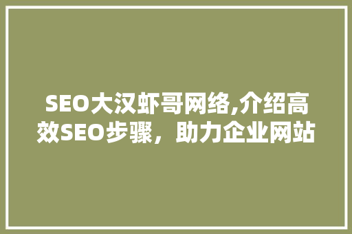 SEO大汉虾哥网络,介绍高效SEO步骤，助力企业网站优化