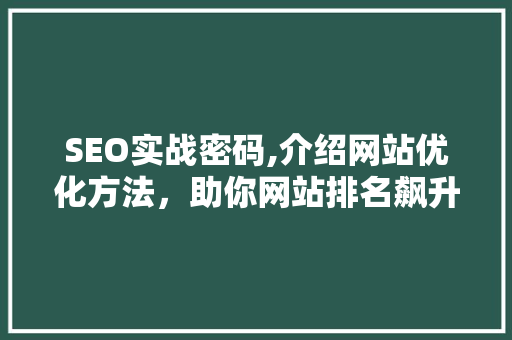 SEO实战密码,介绍网站优化方法，助你网站排名飙升！