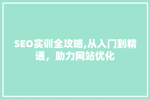 SEO实训全攻略,从入门到精通，助力网站优化