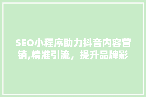 SEO小程序助力抖音内容营销,精准引流，提升品牌影响力