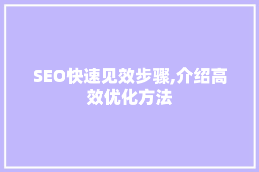 SEO快速见效步骤,介绍高效优化方法