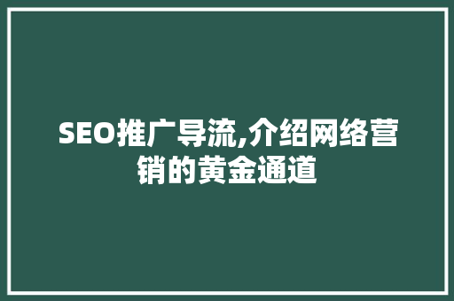 SEO推广导流,介绍网络营销的黄金通道