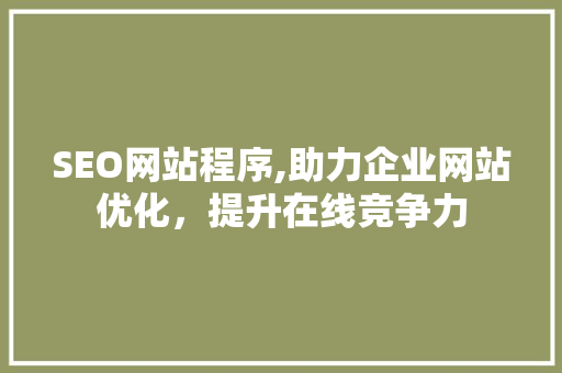 SEO网站程序,助力企业网站优化，提升在线竞争力