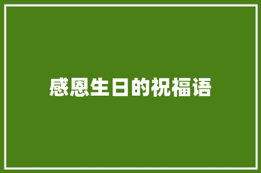 SEO论坛推广留痕,步骤与方法详解
