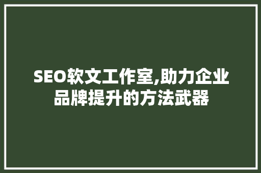 SEO软文工作室,助力企业品牌提升的方法武器