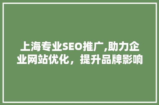 上海专业SEO推广,助力企业网站优化，提升品牌影响力