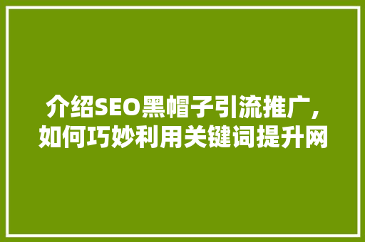 介绍SEO黑帽子引流推广,如何巧妙利用关键词提升网站流量