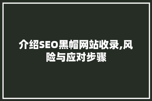 介绍SEO黑帽网站收录,风险与应对步骤