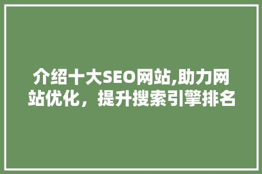 介绍十大SEO网站,助力网站优化，提升搜索引擎排名