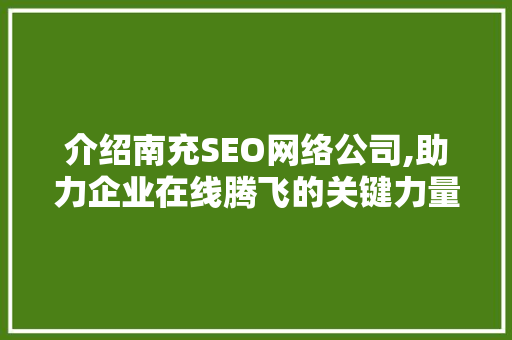 介绍南充SEO网络公司,助力企业在线腾飞的关键力量