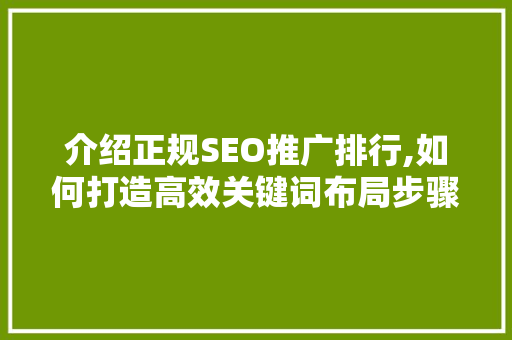 介绍正规SEO推广排行,如何打造高效关键词布局步骤