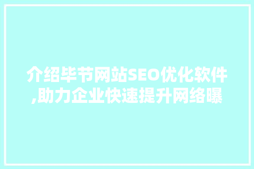 介绍毕节网站SEO优化软件,助力企业快速提升网络曝光度