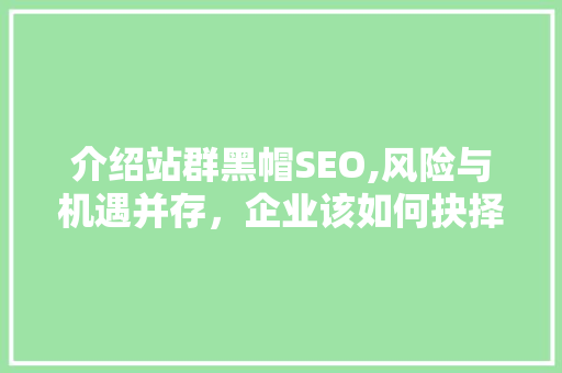 介绍站群黑帽SEO,风险与机遇并存，企业该如何抉择
