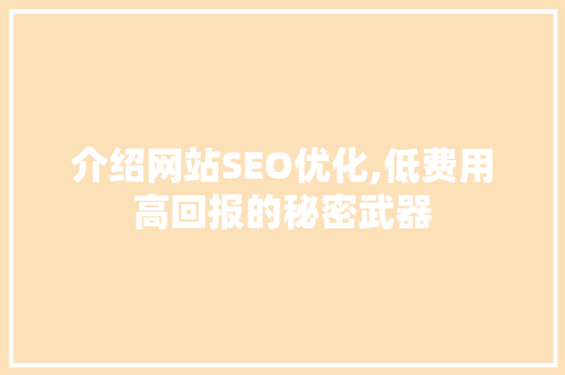介绍网站SEO优化,低费用高回报的秘密武器  第1张