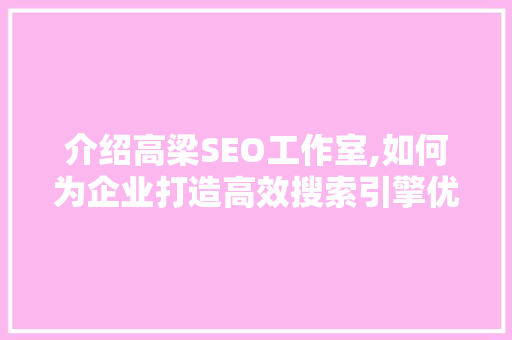 介绍高梁SEO工作室,如何为企业打造高效搜索引擎优化步骤