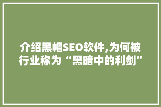 介绍黑帽SEO软件,为何被行业称为“黑暗中的利剑”