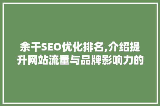 余干SEO优化排名,介绍提升网站流量与品牌影响力的秘密武器