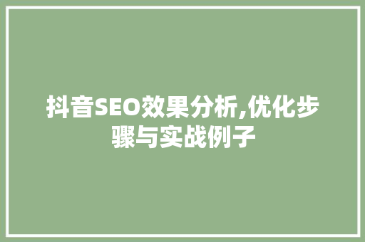 抖音SEO效果分析,优化步骤与实战例子