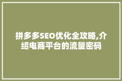 拼多多SEO优化全攻略,介绍电商平台的流量密码