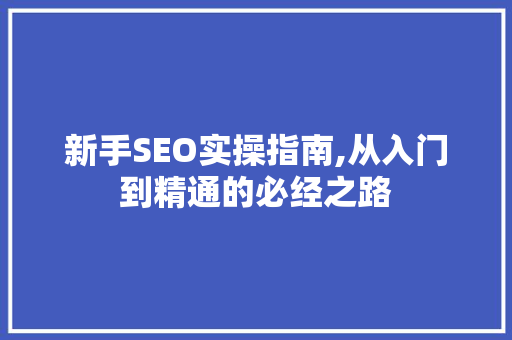 新手SEO实操指南,从入门到精通的必经之路