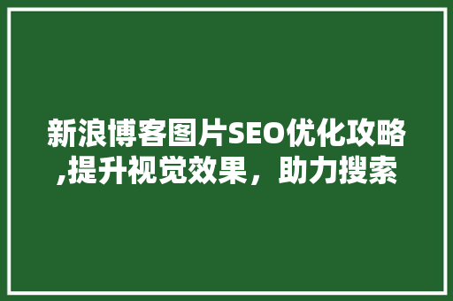新浪博客图片SEO优化攻略,提升视觉效果，助力搜索引擎排名